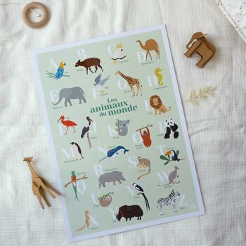 Affiche Abécédaire des animaux enfant apprentissage alphabet A3 2