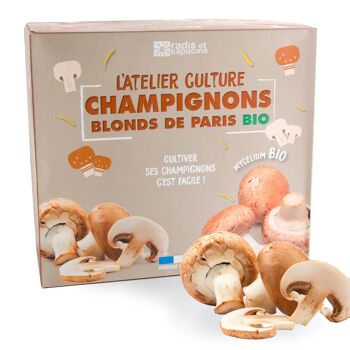 Kit de culture champignons de Paris bruns bio 1