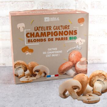 Kit de culture champignons de Paris bruns bio 2