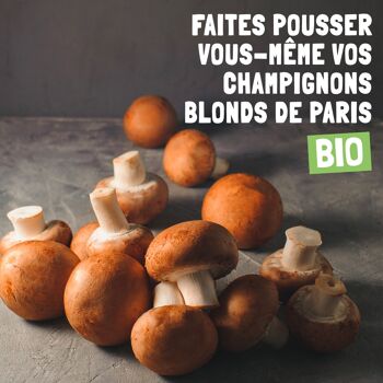 Kit de culture champignons de Paris bruns bio 3