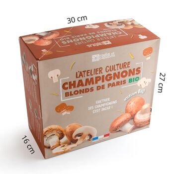 Kit de culture champignons de Paris bruns bio 5