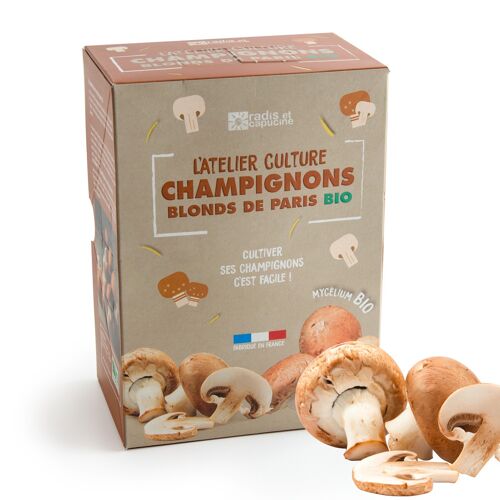 Kit de culture champignons de Paris brun bio  -  Petit modèle