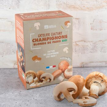 Kit de culture champignons de Paris brun bio  -  Petit modèle 2