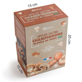 Kit de culture champignons de Paris brun bio  -  Petit modèle 3