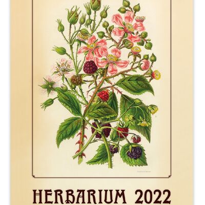 Calendrier mural Kalpa Herbier 2022 31,5 x 45 cm