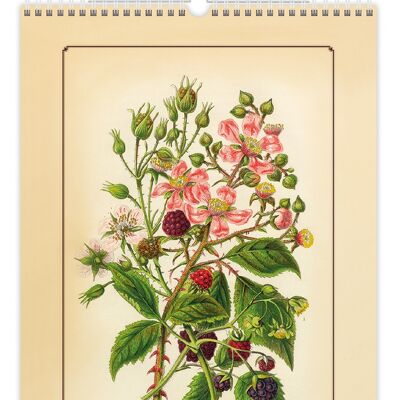Kalpa Wall Calendar 2022 Herbarium 31.5 x 45 cm