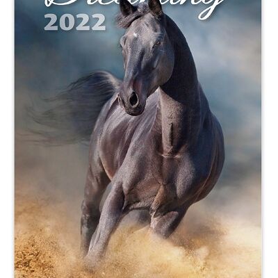 Kalpa Wall Calendar 2022 Horses dreaming Calendar 31.5 x 45 cm