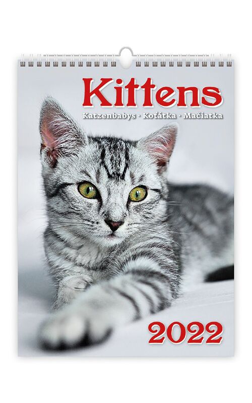 Kalpa Wall Calendar 2022 Kittens Calendar 24 x 33 cm