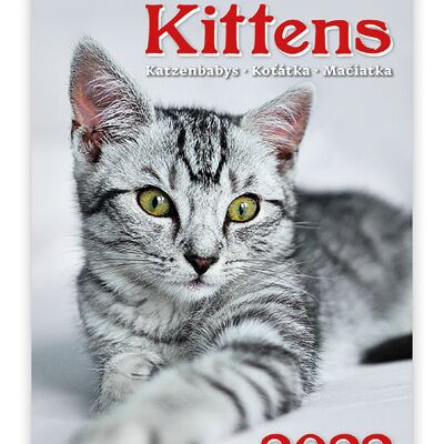 Kalpa Wall Calendar 2022 Kittens Calendar 24 x 33 cm