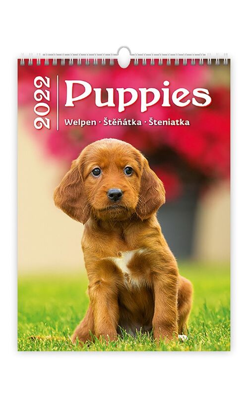 Kalpa Wall Calendar 2022 Puppies Calendar 24 x 33 cm