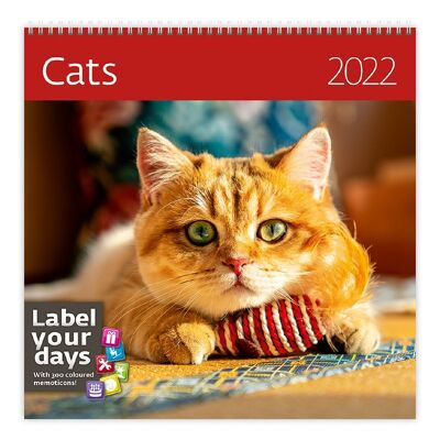 Calendrier Kalpa 30 x 30 cm Chats