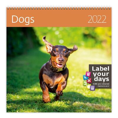 Kalpa Kalender 30 x 30 cm Hunde