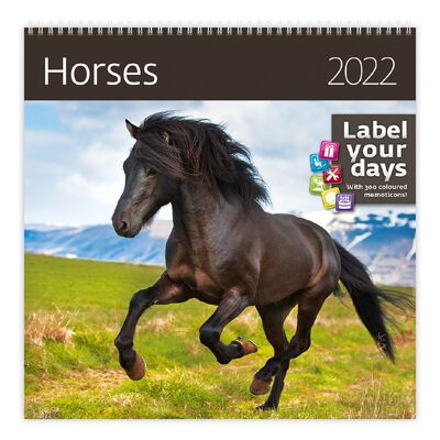 Kalpa calendar 30 x 30 cm Horses