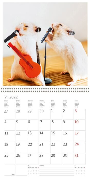 Calendrier Kalpa 30 x 30 cm Little Fun 8