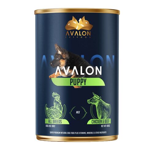 Avalon Puppy