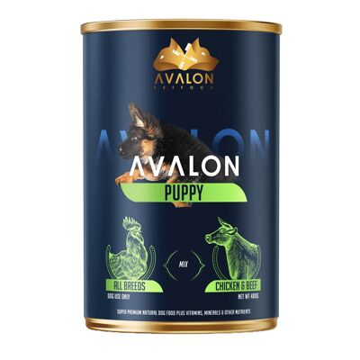 Avalon-Welpen