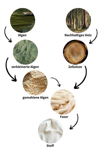 Sweat coton bio & algues marron foncé 6