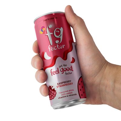 FG Factor Raspberry & Strawberry multi vitamin soft drink