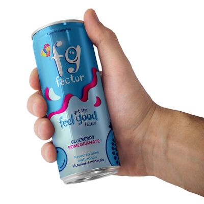 FG Factor Blueberry & Pomegranate multi-vitamin soft drink