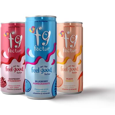 FG Factor Mixed Flavour box multi-vitamin soft drink
