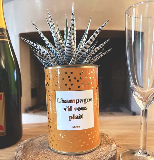Cactus -  Champagne s'il vous plaît -  Collection Or