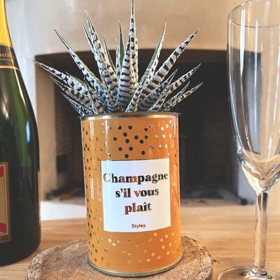 Kaktus - Champagner bitte - Gold Collection