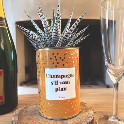 Cactus - Champagne por favor - Colección Gold