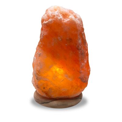 Natural Himalayan Crystal Salt Lamp - Medium - Natural Wood Base