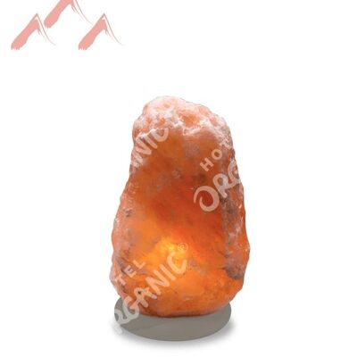 Natural Himalayan Crystal Salt Lamp - Medium - Organic Paint Base