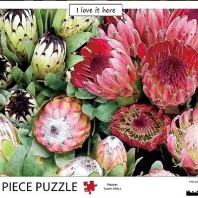 Puzzle dans Protea Occupé