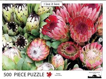 Puzzle dans Protea Occupé