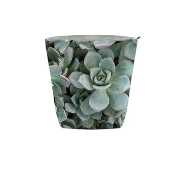 Pot en Tissu Vert Succulent 2