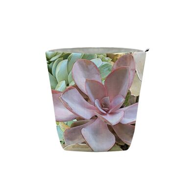 Vaso in Tessuto Succulente Pastello