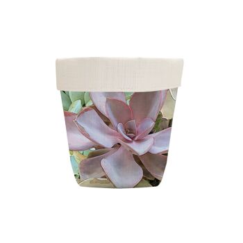Pot en Tissu Pastel Succulent 2