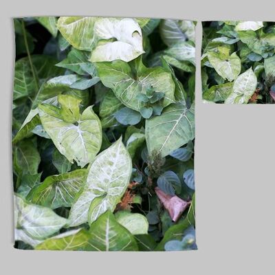 Tea towel and swab set in Tropical Leaf