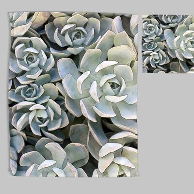 Set strofinacci e tamponi in Succulent Blue