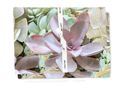 Placemat in Succulent In Soil