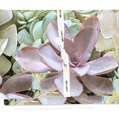 Placemat in Succulent In Soil