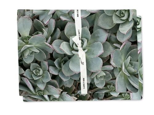 Placemat in Succulent Green