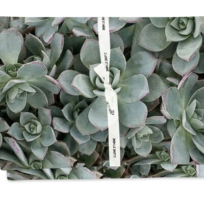 Placemat in Succulent Green