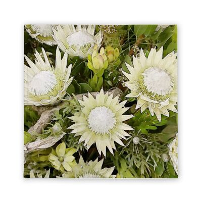 Gesichtsflanell in Protea White