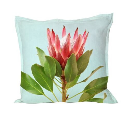 Cushion cover in Protea on Blue