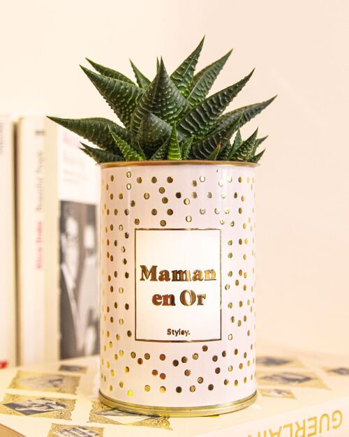 Cactus -  Maman en or -  Collection or