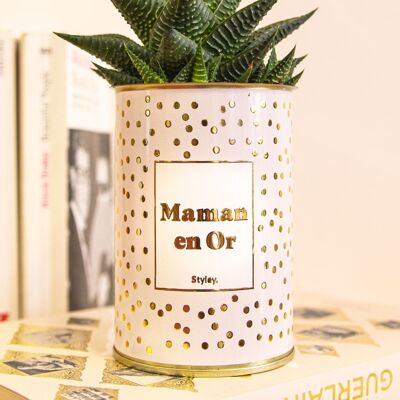 Cactus - Maman en or - Colección Gold