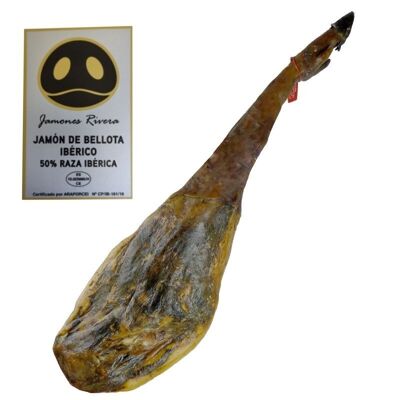 Iberischer Schinken aus Eichelmast, 50 % iberische Rasse Rivera, 7,5-8 kg