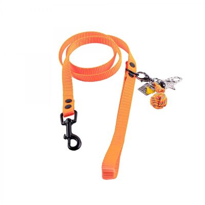 Groc Groc Lucky Dog Guinzaglio Vivid Orange Black