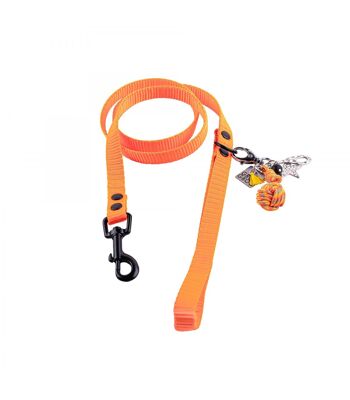 Groc Groc Lucky Dog Laisse Vivid Orange Noir 1