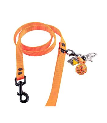 Groc Groc Lucky Dog Laisse Vivid Orange Noir 2