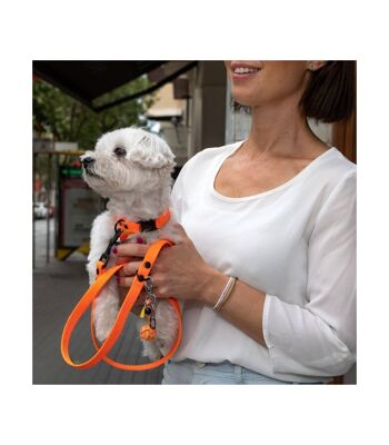 Groc Groc Lucky Dog Laisse Vivid Orange Noir 3