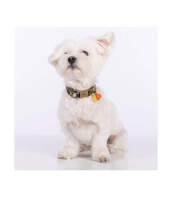 Groc Groc Lucky Vert Camouflage Collier pour Chien-S 3